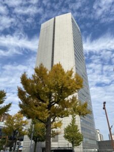 国際センタービル近く イチョウの紅葉